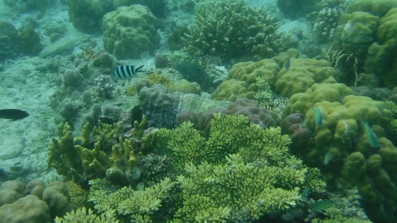 Iris Island Eco Resort Busuanga Eksteriør billede